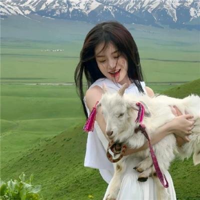 厕所的圣母像